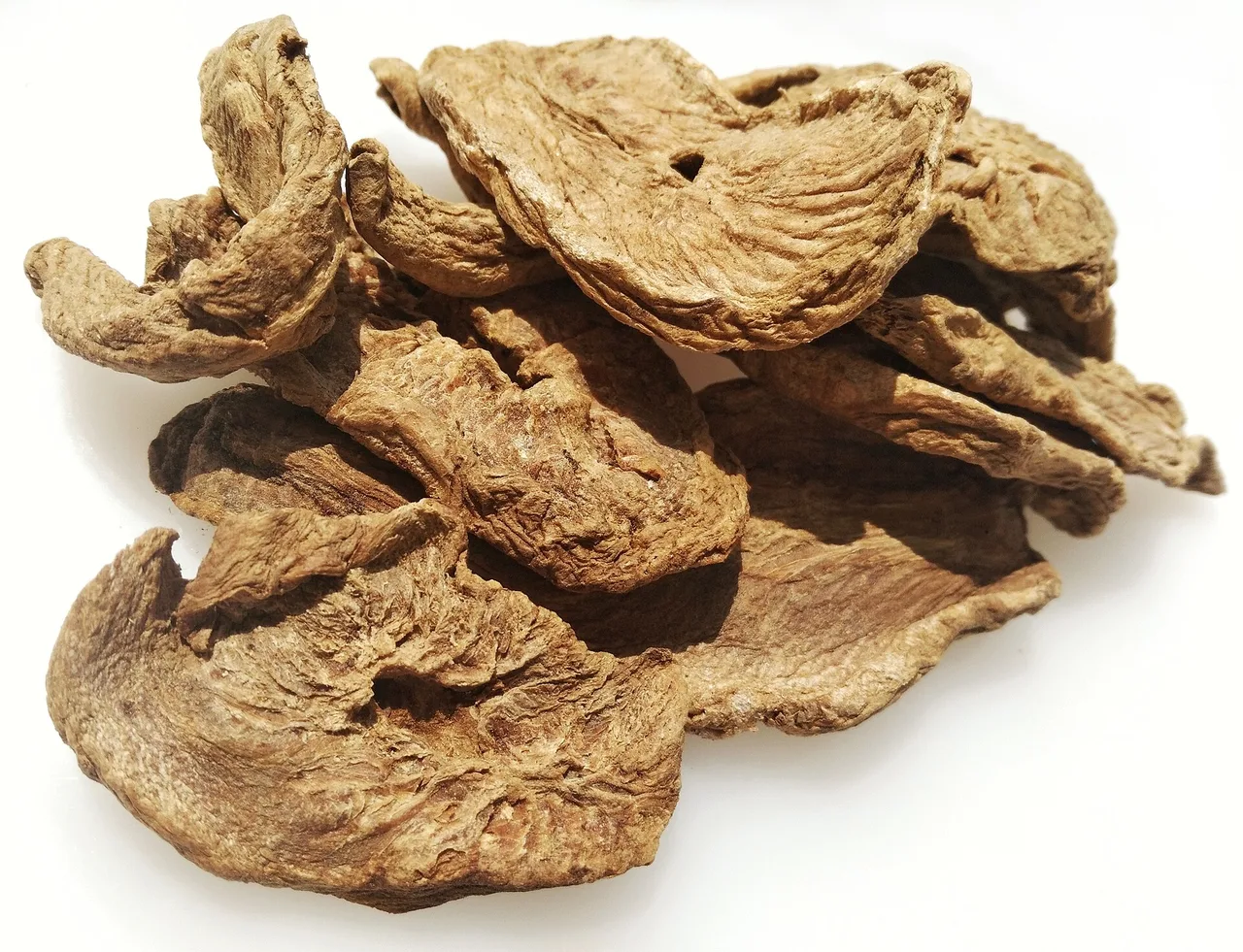 Getrocknete Scheiben der Zichorienwurzel, hellbraun, auf weißem Grund