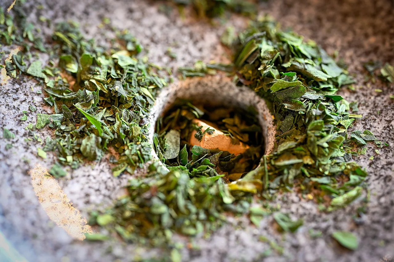 Getrocknete, flache Tencha-Blattstücke auf dem Mahlstein einer Steinmühle