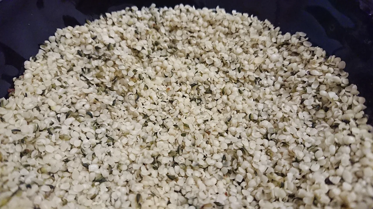 Geschälte Hanfsamen in einer dunklen Schale: kleine, weißlich-cremefarbene Kerne mit grünlichen Flecken