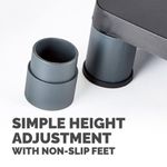 Fellowes Premium Monitor Stand Black