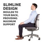 Fellowes Slimline Back Supp Graphite