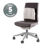 Fellowes Slimline Back Supp Graphite