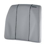 Fellowes Slimline Back Supp Graphite