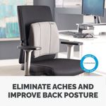 Fellowes Slimline Back Supp Graphite