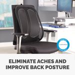 Fellowes Office Suite Mesh Back Supp