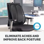 Fellowes Office Suite Mesh Back Supp