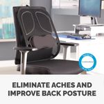 Fellowes Prof Series Mesh Back Supp