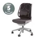 Fellowes Prof Series Mesh Back Supp