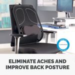 Fellowes Prof Series Mesh Back Supp