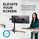 Fellowes Vista Dual Monitor Arm