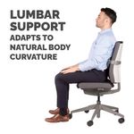 I-Spire Series Lumbar Cushion Grey