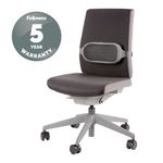 I-Spire Series Lumbar Cushion Grey
