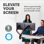 Fellowes Platinum Dual Mon Arm Black