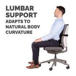 Fellowes Plustouch Back Support Blk
