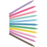 Bic Plastidecor Col Crayons Pk288