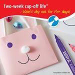 Berol Colour Fine Class Ast Pk288