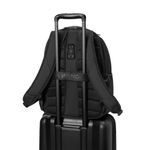 Xe Professional 15.6In Laptop Bkpack