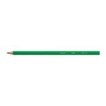 Bic Kids Ecolution Col Pencils Pk12