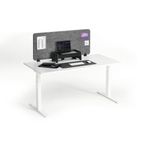 Durable Desk Divider Panel 120Cm Gry