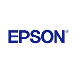 Epson T1579 Ink Cart Light Light Blk