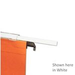 Esselte Orgarex Susp File Blu Pk250