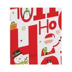 Hohoho Festive Bottle Bag Pk12