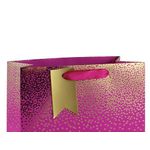 Eurowrap Ombre Gift Bag Med Pink Pk6