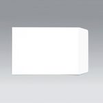 C4 Pkt Env Plsl 100Gsm Wht Pk250
