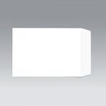 C4 Pkt Env Sseal Wht Retail Pk25