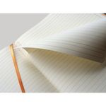 Rhodiarama Notebook 80 Pages A4+ Slv