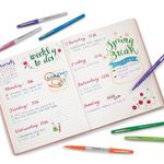 Papermate Flair Felt Pen 0.7 Trp Pk6