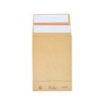E-Green C5 Gusset Mailer Man Pk250