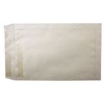 Q-Connect Pkt Envelope Plsl Pk250