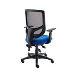 Astin Nesta Optr Chr Adj Arms Ro Blu
