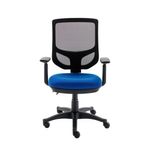 Astin Nesta Optr Chr Adj Arms Ro Blu