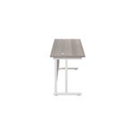 Jemini Rect Cant Desk 1600X600 G/Oak
