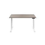 Jemini Sit/Stand Dsk 1200X800 G/Oak