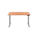 Jemini Sit/Stand Desk With Cable Bch