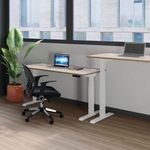 Jemini Sit/Stand Dsk 1400X800 G/Oak