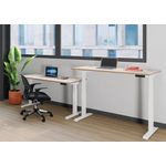 Jemini Sit/Stand Desk With Cable Bch