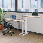 Jemini Sit/Stand Dsk 1600X800 G/Oak