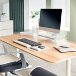 Leitz Ergo Monitor Stand Light Grey