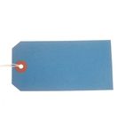 Strung Tags X10 60X120Mm Ast Pk50
