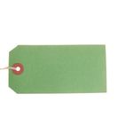 Strung Tags X10 60X120Mm Ast Pk50