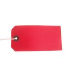 Strung Tags X10 60X120Mm Ast Pk50