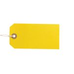 Strung Tags X10 60X120Mm Ast Pk50