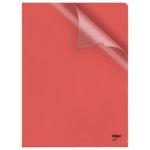 Rexel Nyrex Cut Flsh Fldr A4 Ast P25