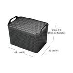 Strata Large Urban Basket 24L Chr