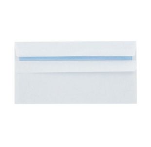 Dl White Ss Envelopes