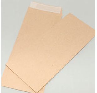 12X5 Brown Ss Envelopes